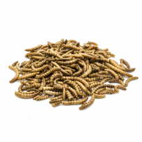 Gedroogde insecten