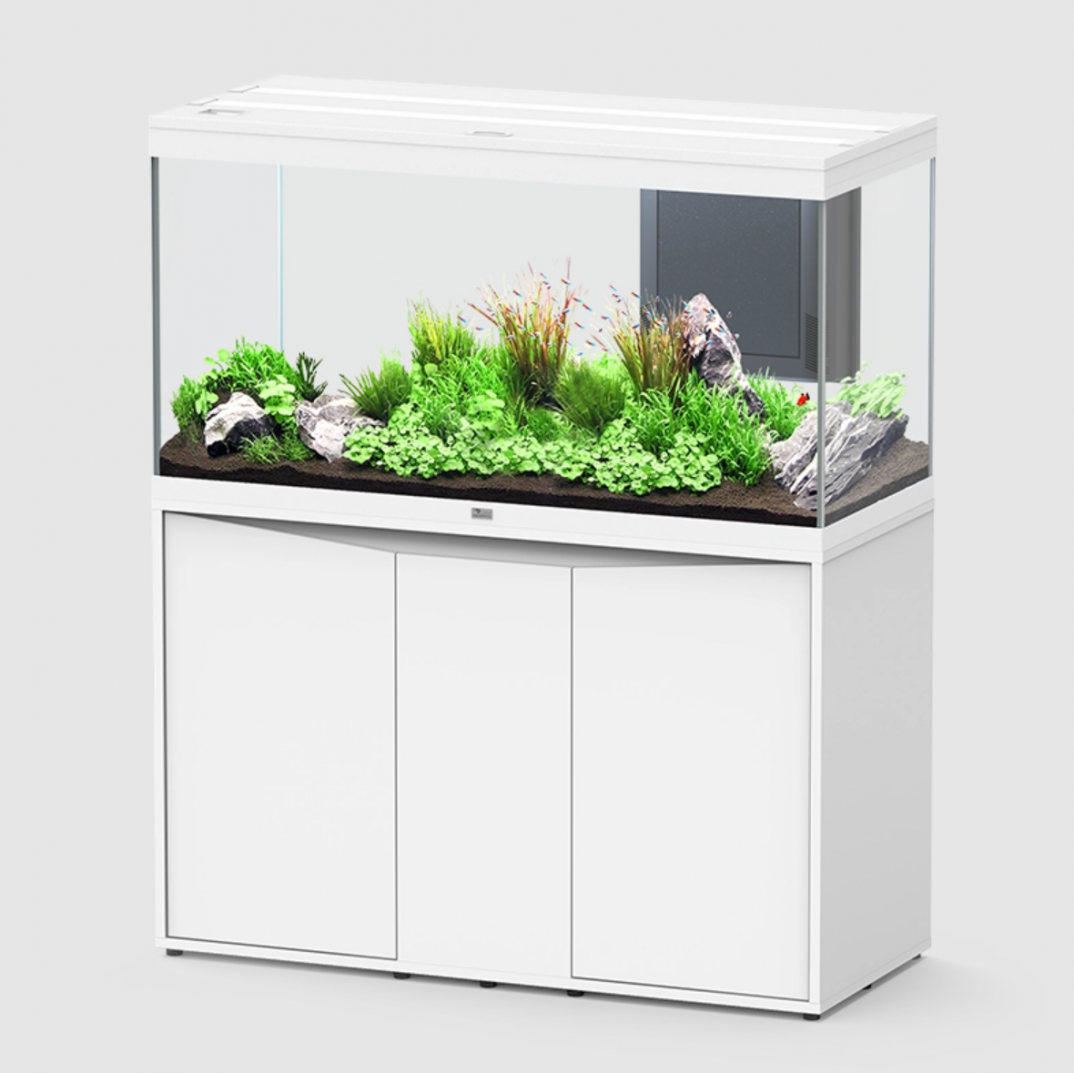 Aquatlantis Splendid 120x50 Ultra Wit