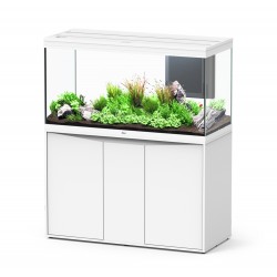Aquaria Aquaria