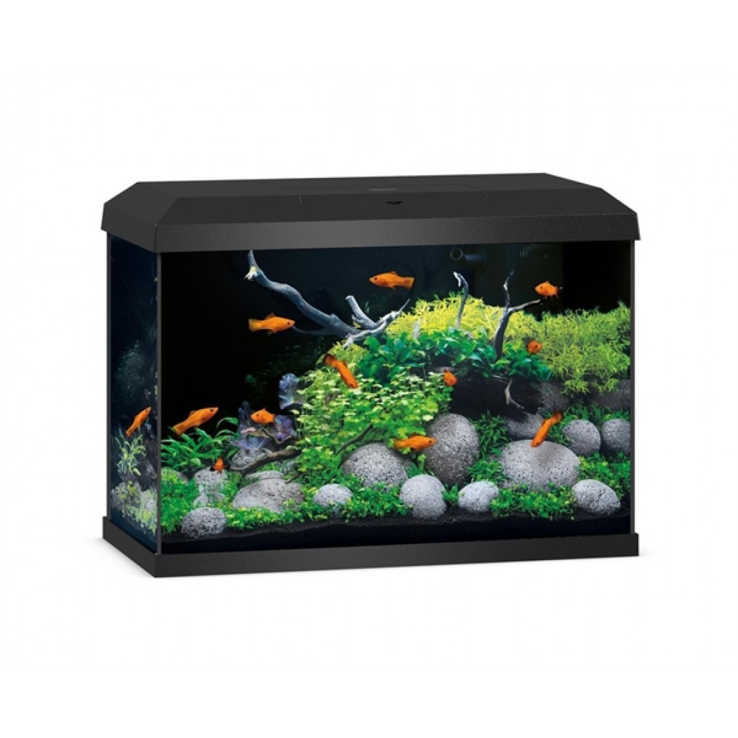 Juwel Aquarium Primo 70 2.0 Zwart Juwel Aquarium Primo 70 2.0 Zwart