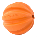 Dog Comets Swift Tuttle Oranje