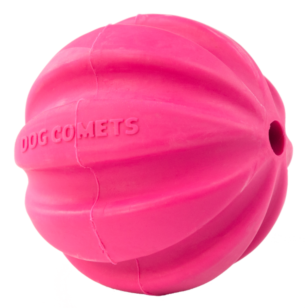 Dog Comets Halley Met Touw Roze