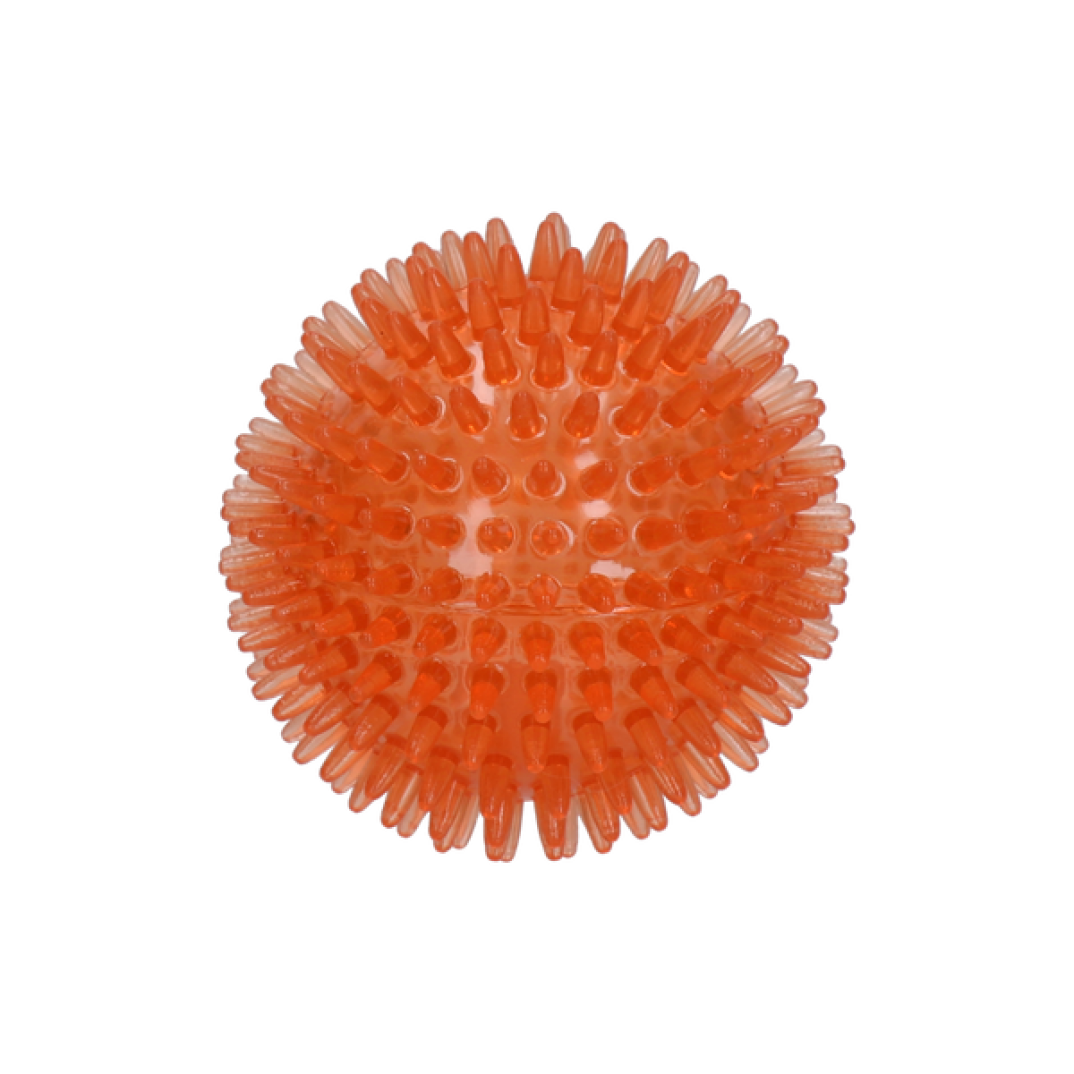 Dog Comets Exoplanet Egelbal M Oranje