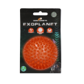 Dog Comets Exoplanet Egelbal M Oranje