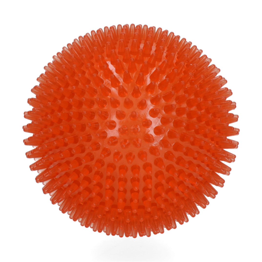 Dog Comets Exoplanet Egelbal L Oranje