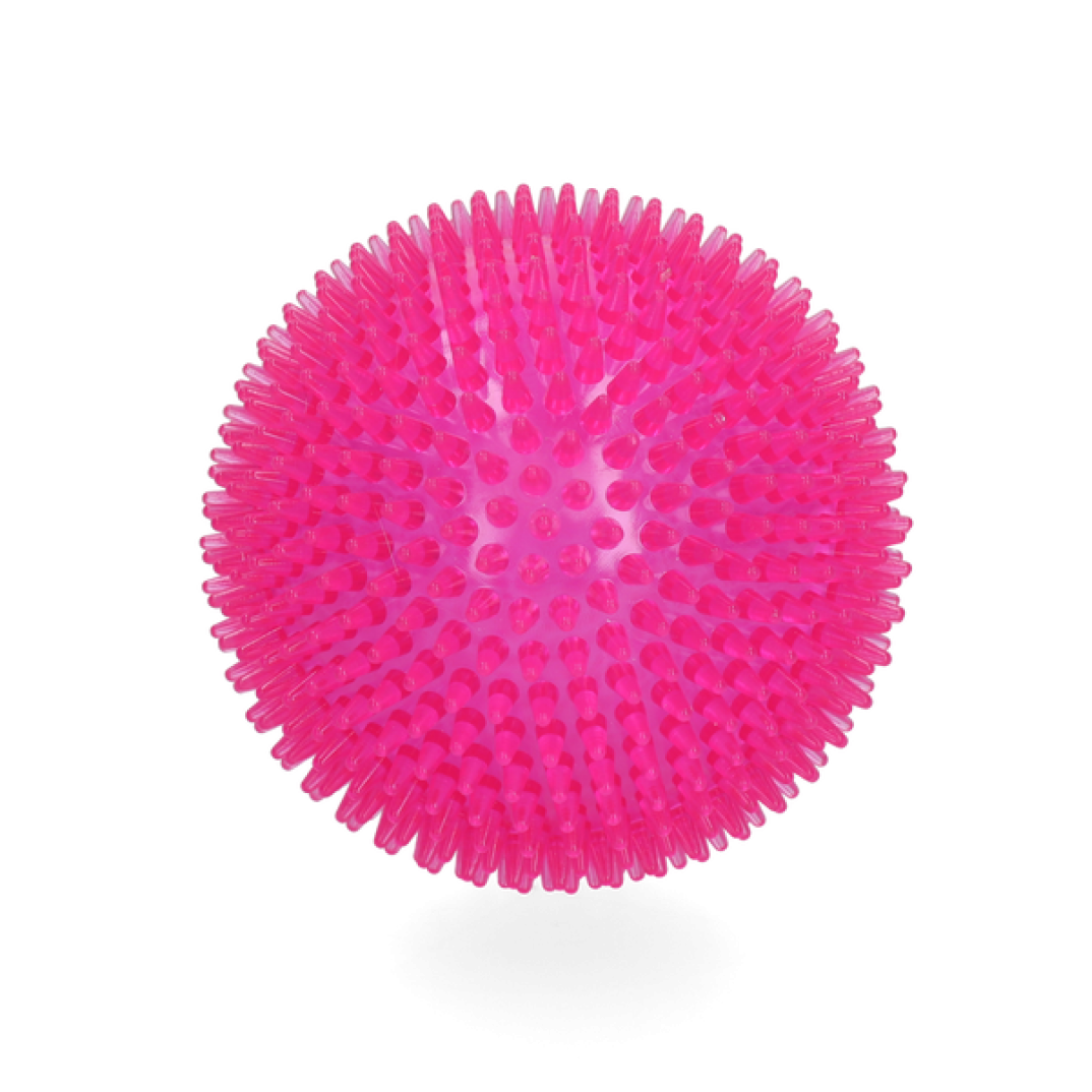 Dog Comets Exoplanet Egelbal L Roze