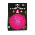 Dog Comets Exoplanet Egelbal L Roze