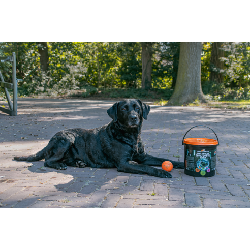 Dog Comets Meteor Shower (Emmer met 6 M Stardust ballen)