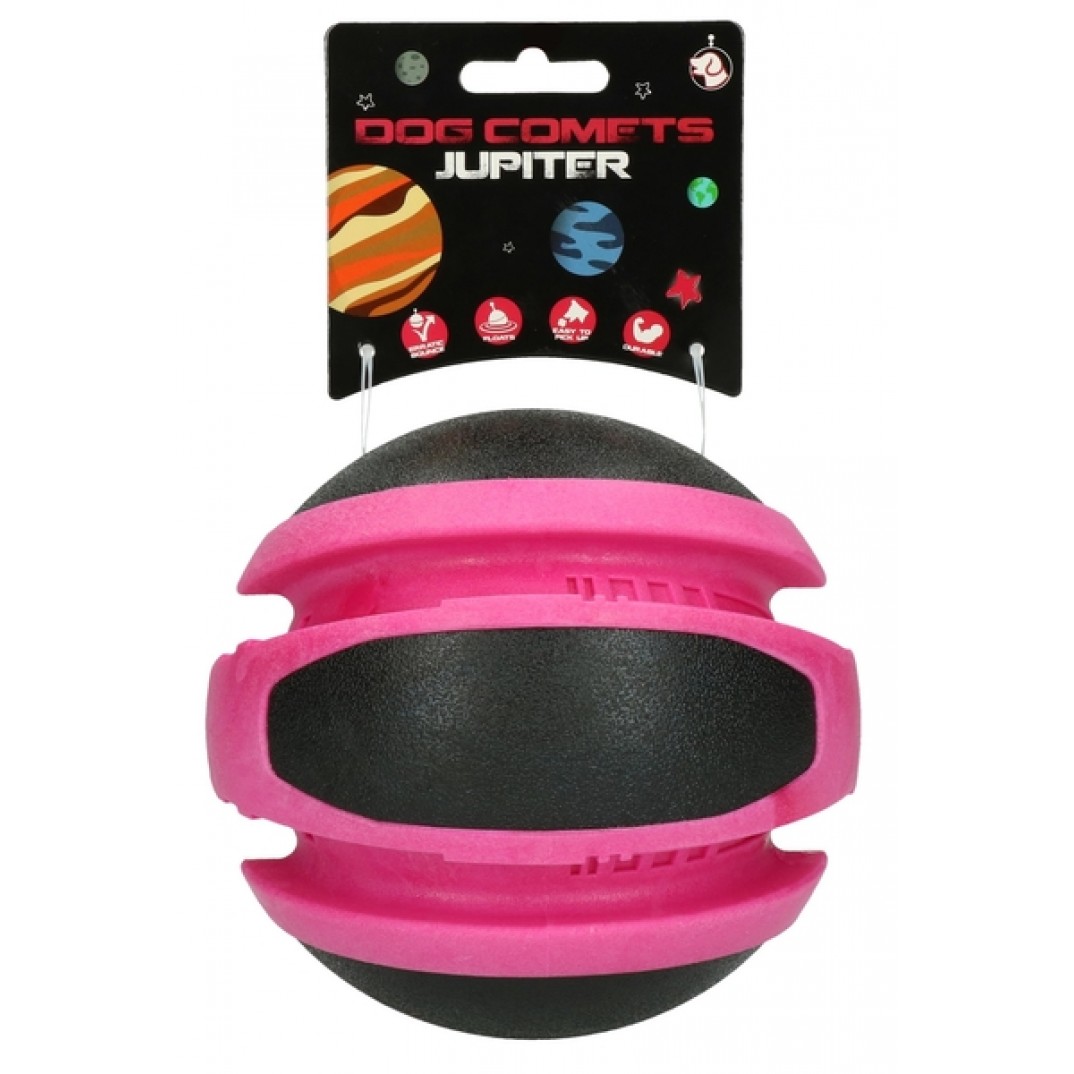Dog Comets Planets Roze