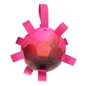 Dog Comets Hypernova Roze