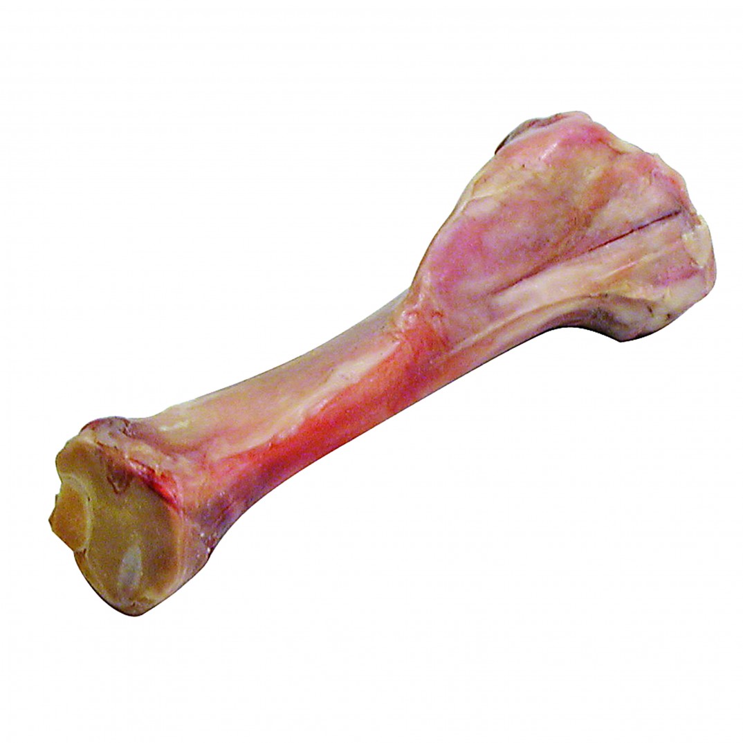 Italiaans hambeen medio