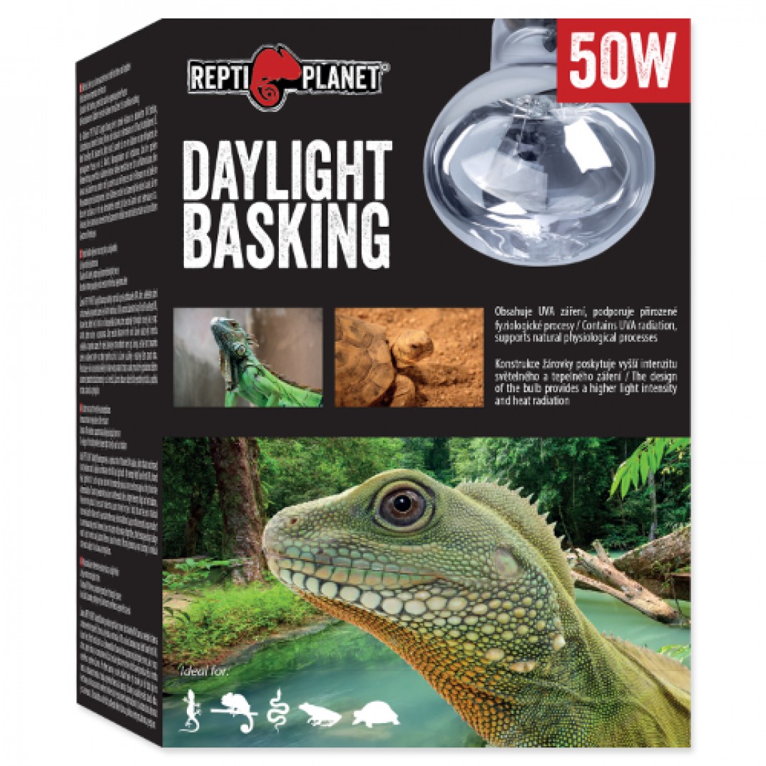 Repti Planet Daylight Basking Spot 50W