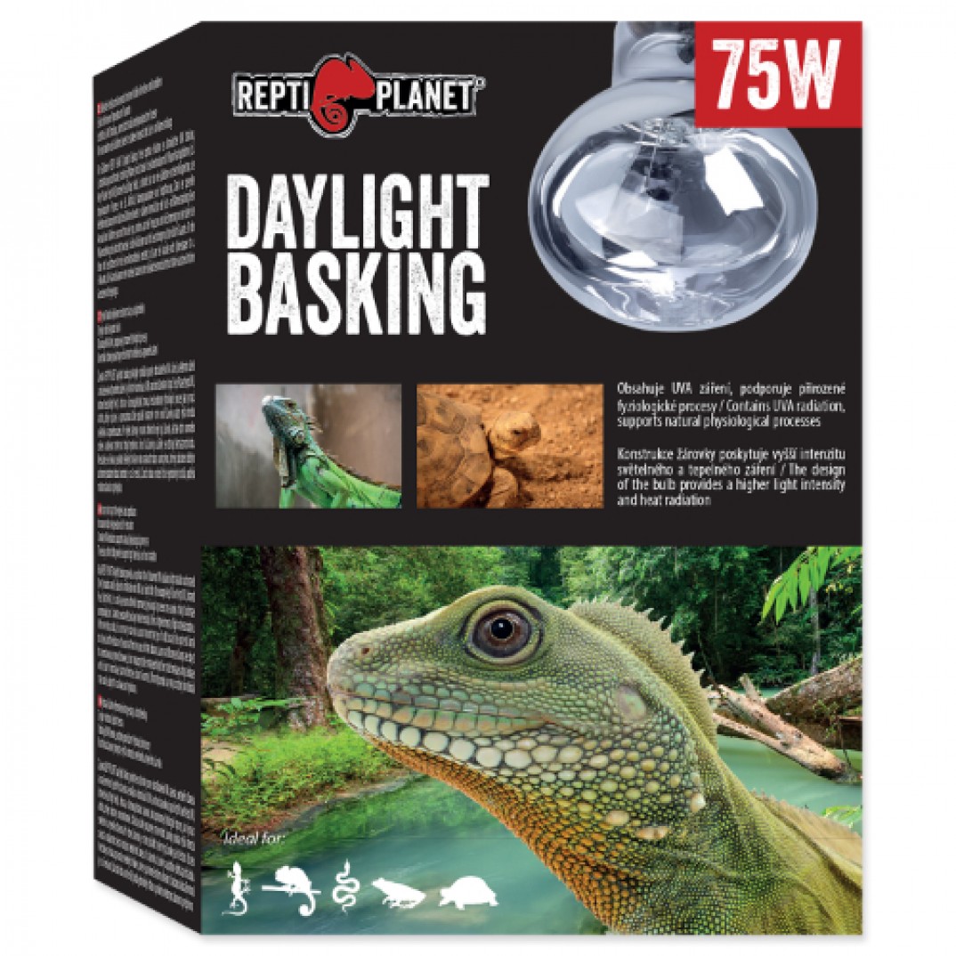 Repti Planet Daylight Basking Spot 75W