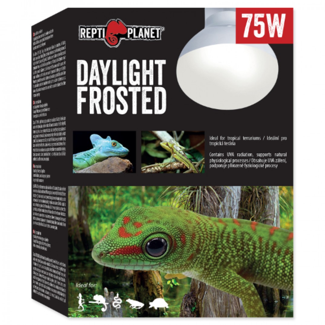 Repti planet Daylight Frosted 75W