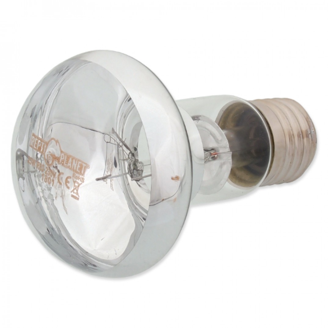 Repti Planet Daylight Basking Spot 25W