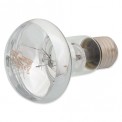 Repti Planet Daylight Basking Spot 25W