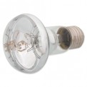 Repti Planet Daylight Basking Spot 75W
