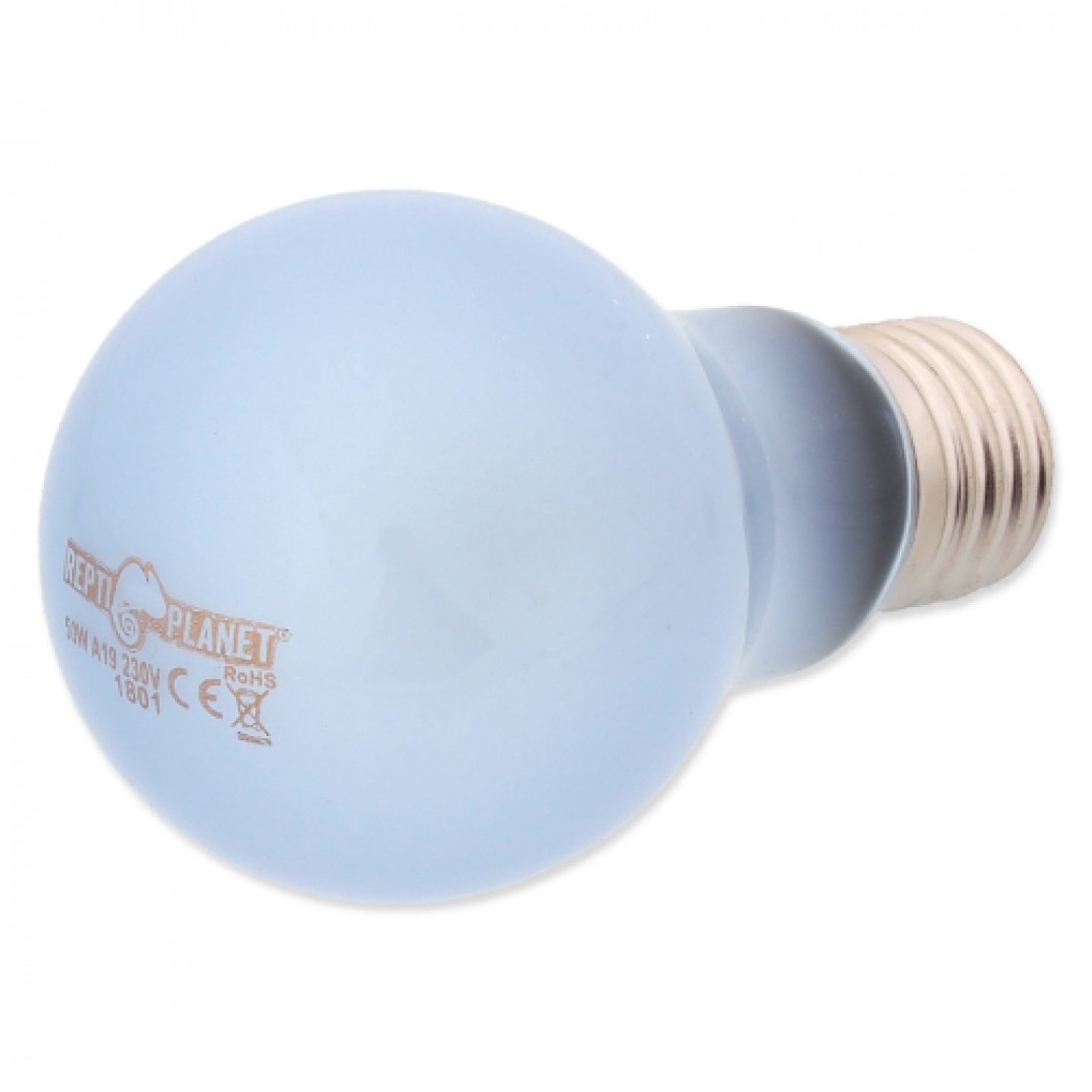 Repti Planet Daylight Neodymium 50W