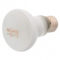Repti planet Daylight Frosted 25W