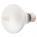 Repti planet Daylight Frosted 100W