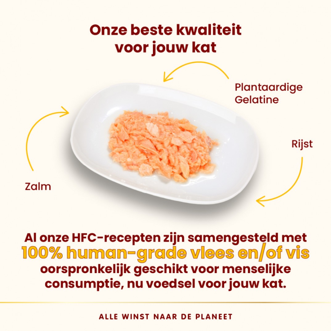 Almo Nature HFC  jelly zalm