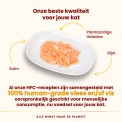 Almo Nature HFC  jelly zalm