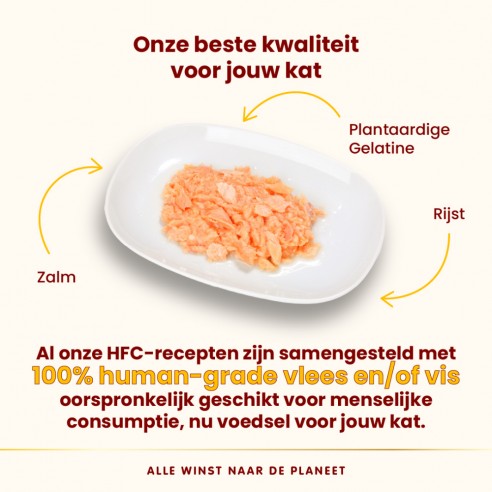 Almo Nature HFC  Jelly Zalm 70g