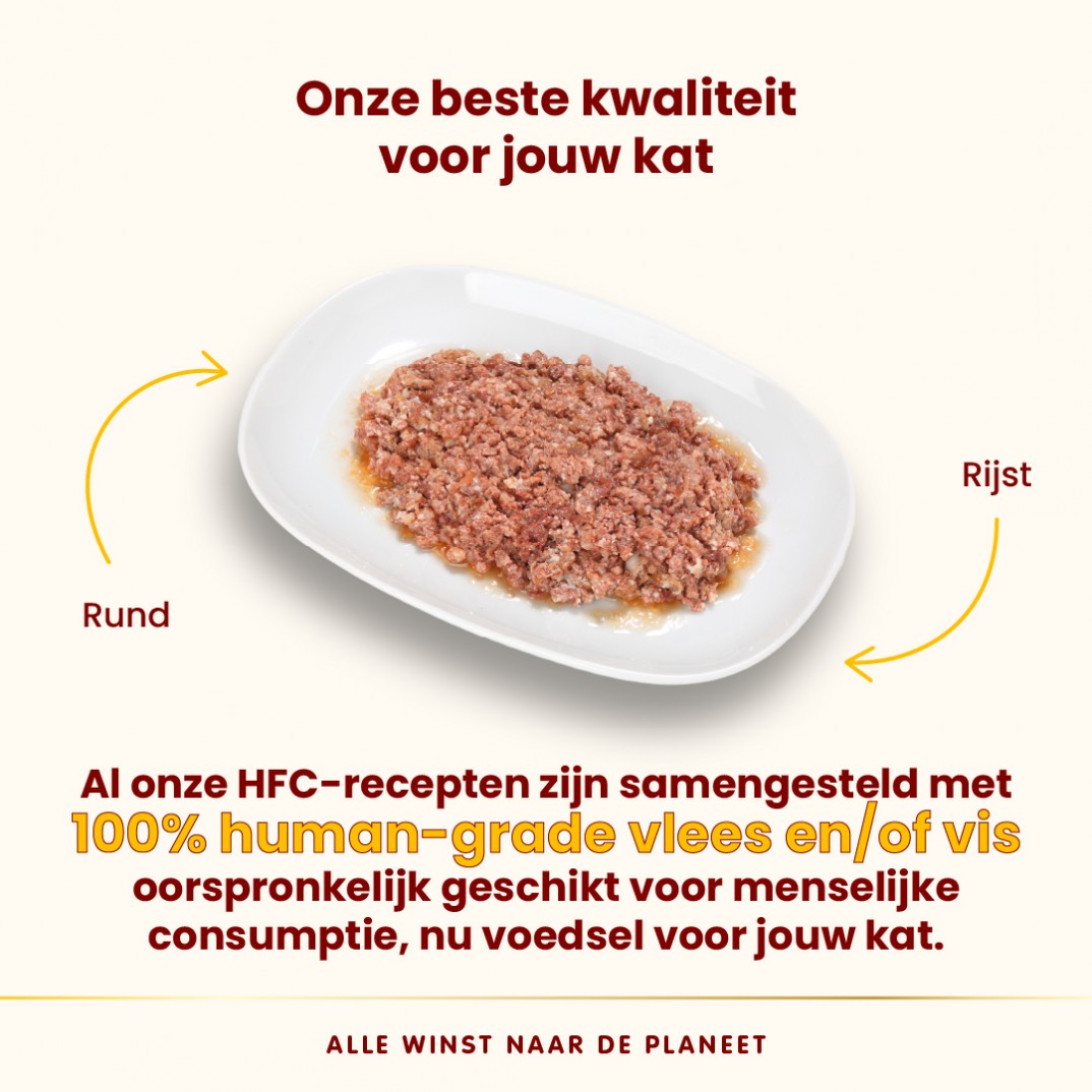natuurlijk natvoer kat rund
