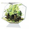 Nexus 14 liter aquarium wit