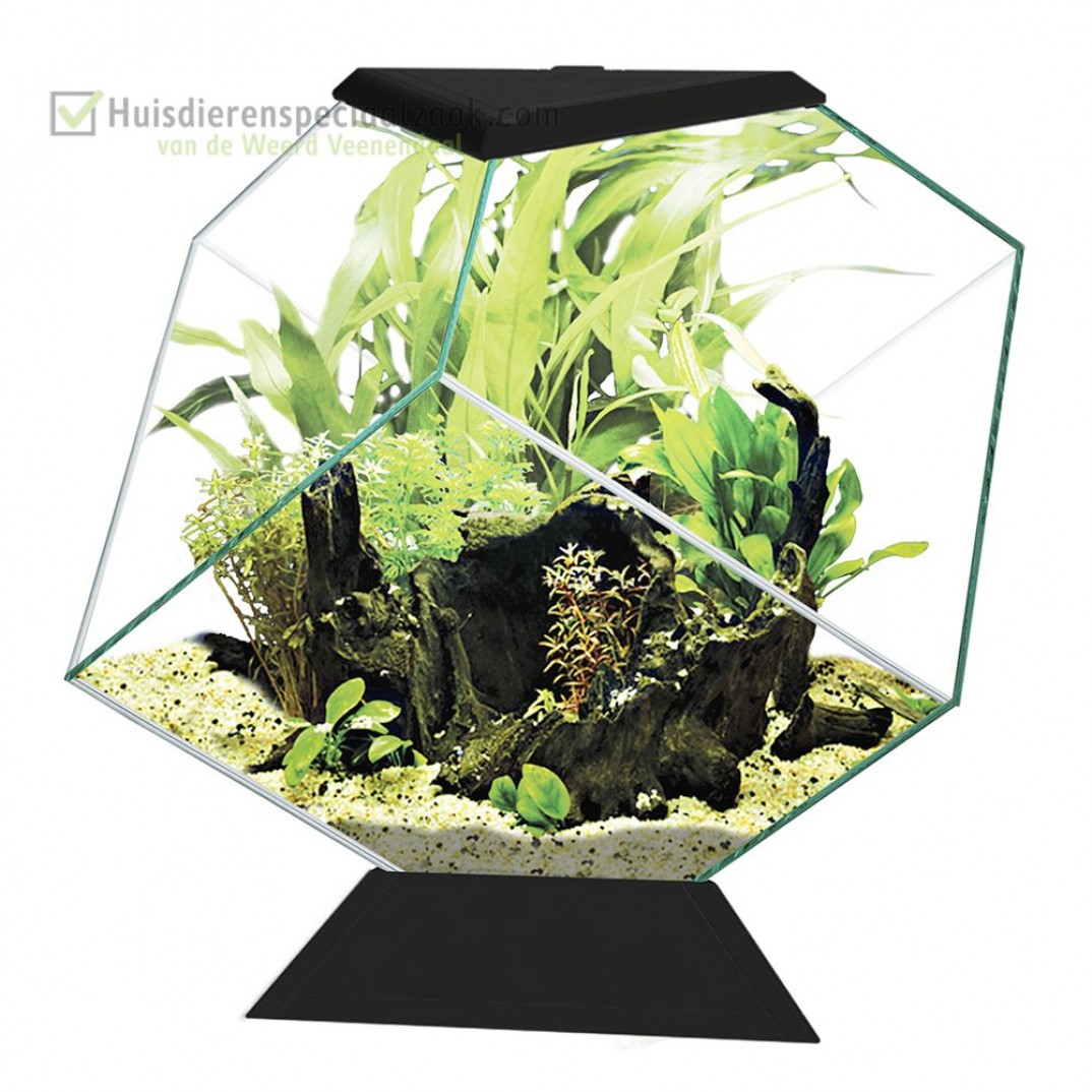 Nexus 14 liter aquarium wit