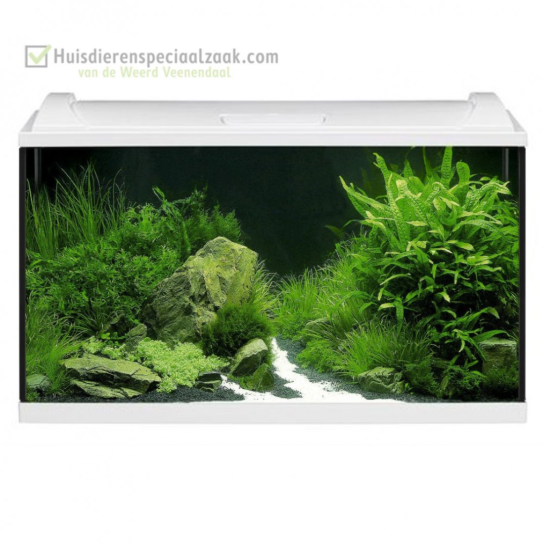 Eheim Aquapro met inhoud van 126 liter in de kleur wit