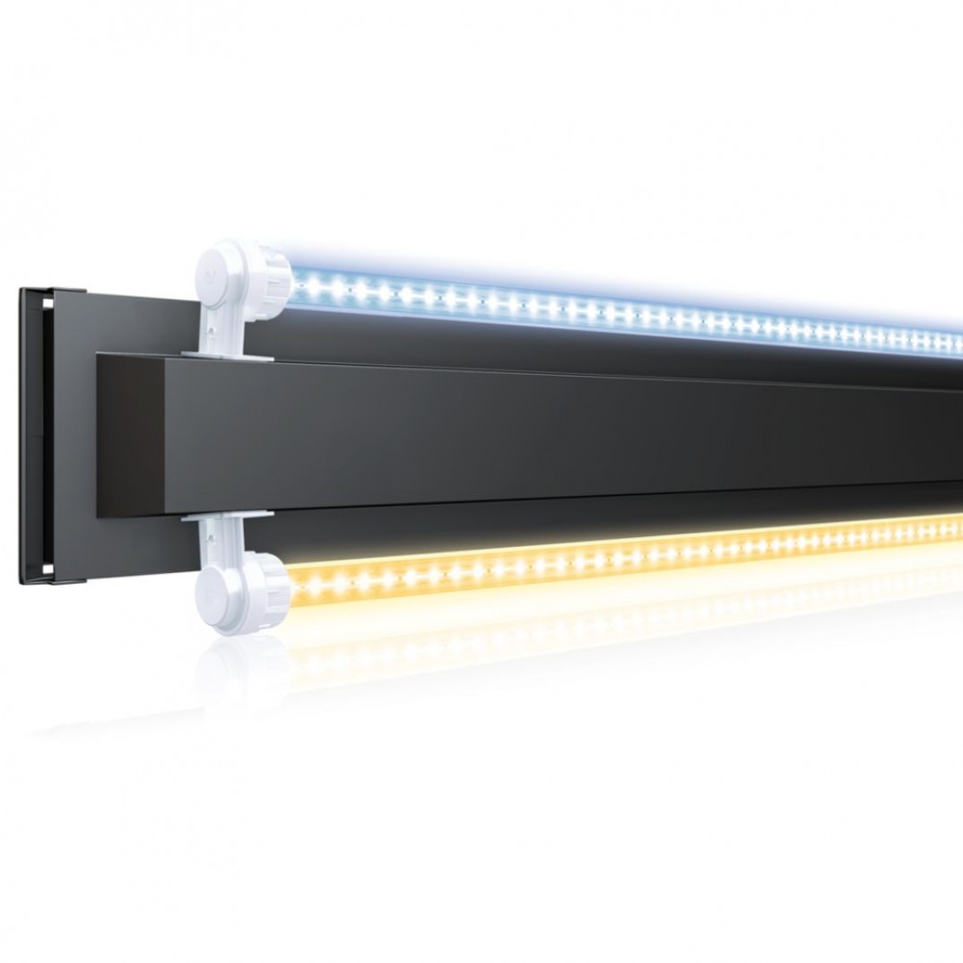 Juwel Lido aquarium met een inhoud van 120 liter en LED verlichting.