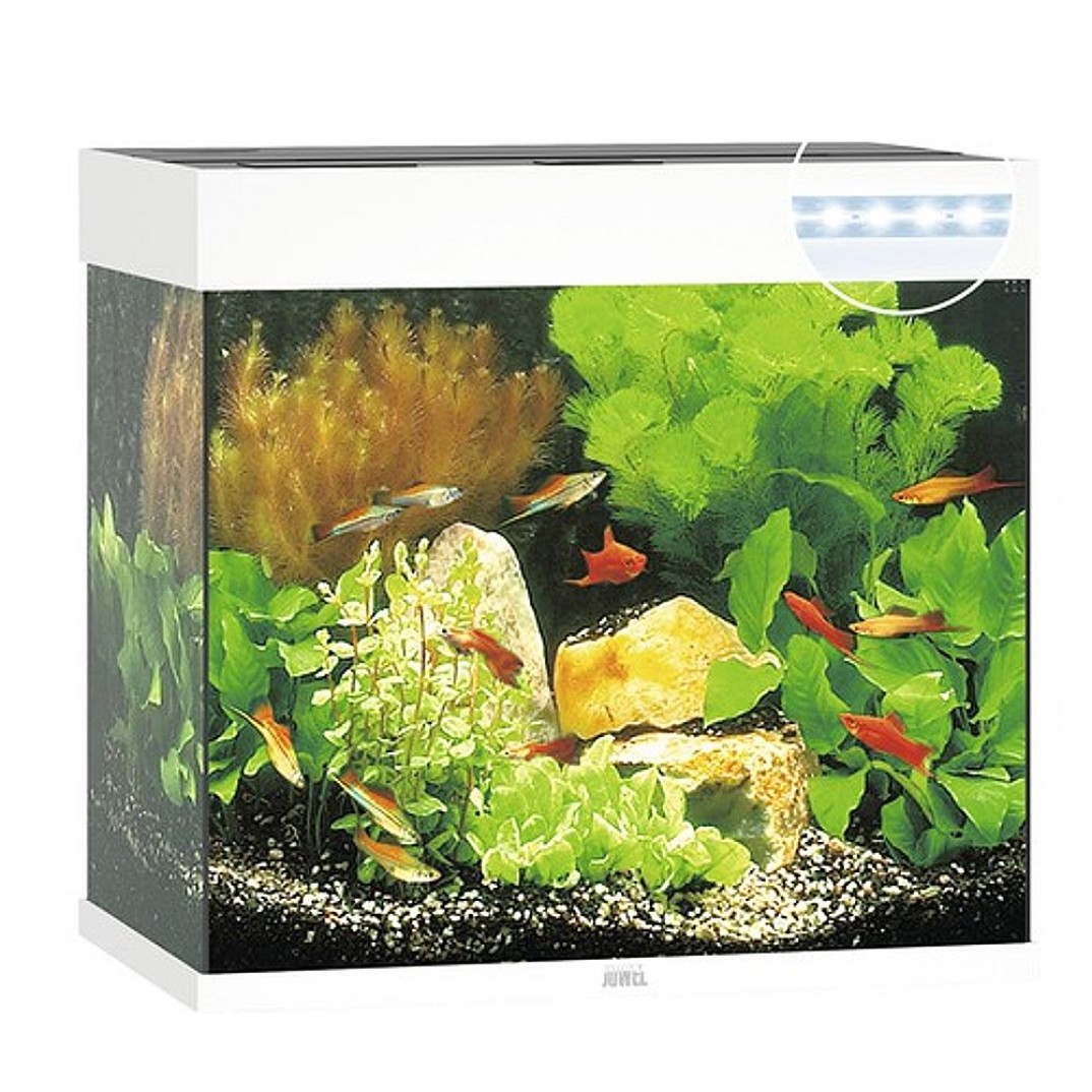 Juwel Lido aquarium met een inhoud van 120 liter en LED verlichting. Wit van kleur
