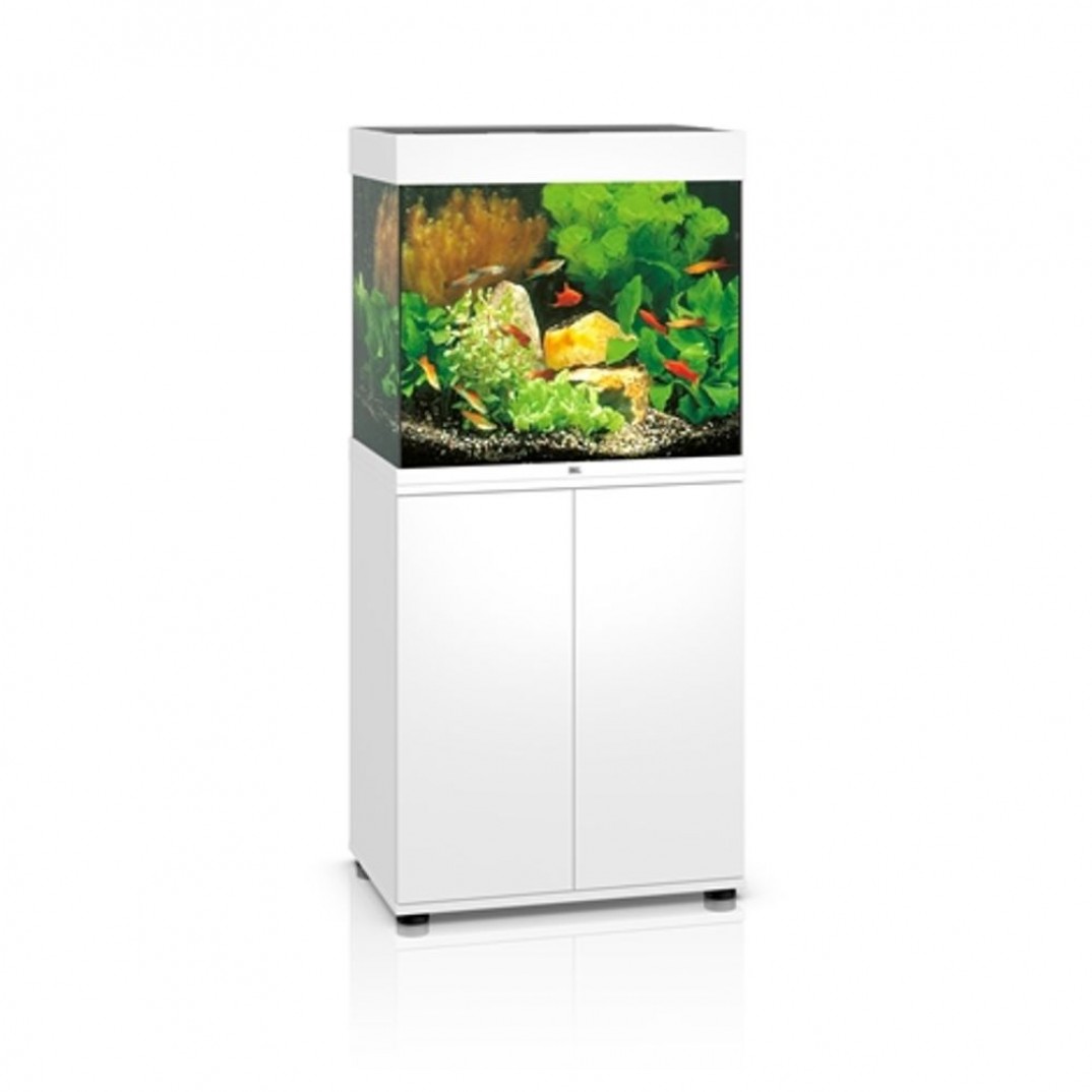 Juwel Lido aquarium met een inhoud van 120 liter en LED verlichting. Wit van kleur