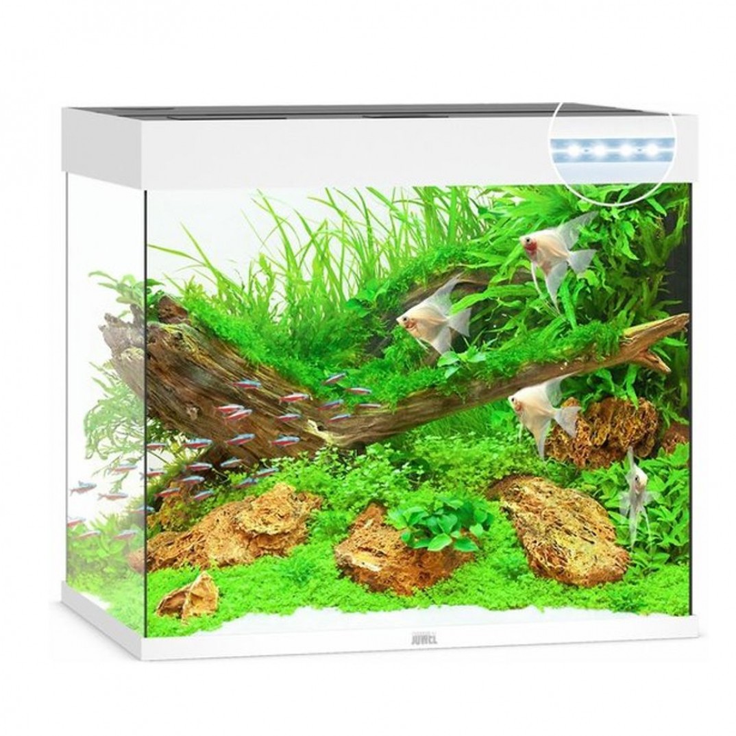 Juwel Lido aquarium van 200 liter met Led verlichting