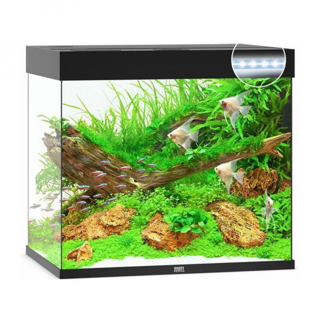 Juwel Lido 200 liter zwart aquarium Juwel Lido aquarium van 200 liter met Led verlichting