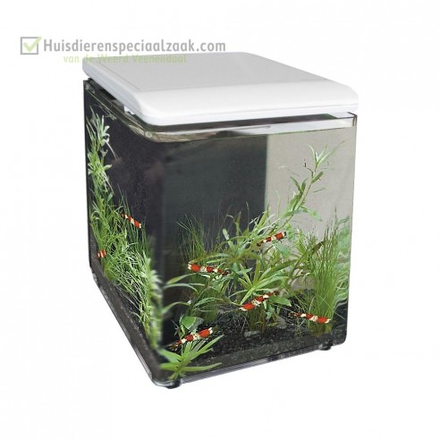 Superfish Home 8 wit