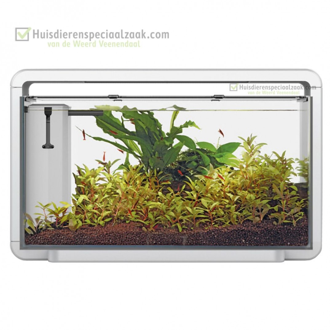 superfish aquarium aquarium home 30 wit