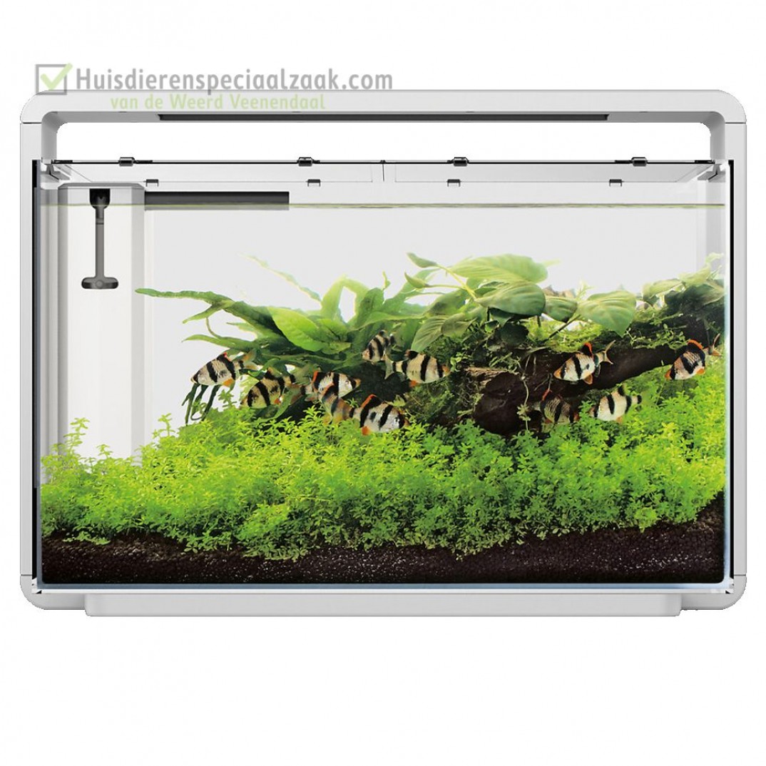 superfish aquarium aquarium home 65 wit