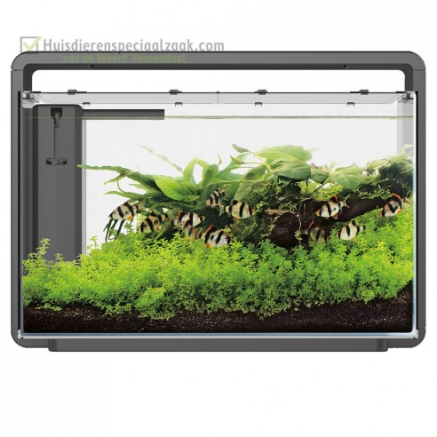 Superfish Home 65 zwart