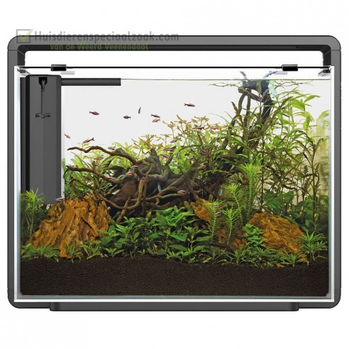 Superfish Home 85 zwart