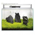 superfish aquarium aquascape Scaper 45 liter