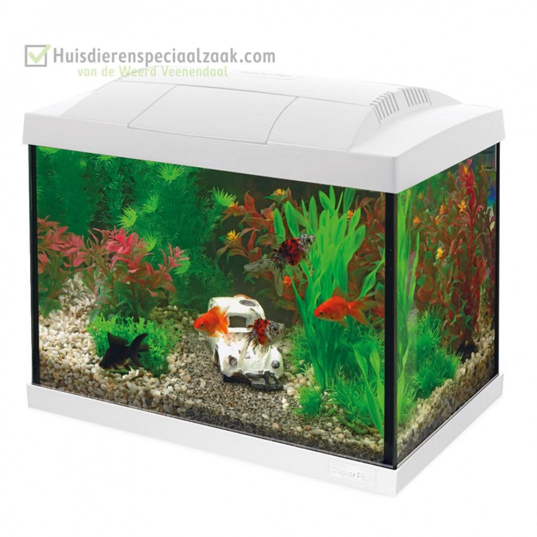 Superfish Start aquarium inhoud 20 liter met LED verlichting wit