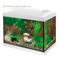 Superfish Start aquarium inhoud 20 liter met LED verlichting wit