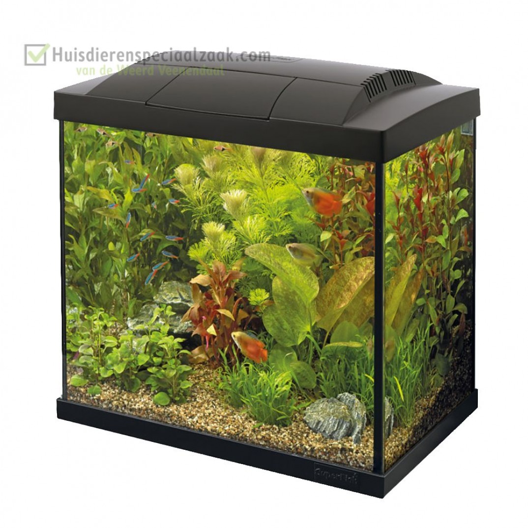 Superfish starters aquarium inhoud van 30 liter met LED verlichting kleur is zwart
