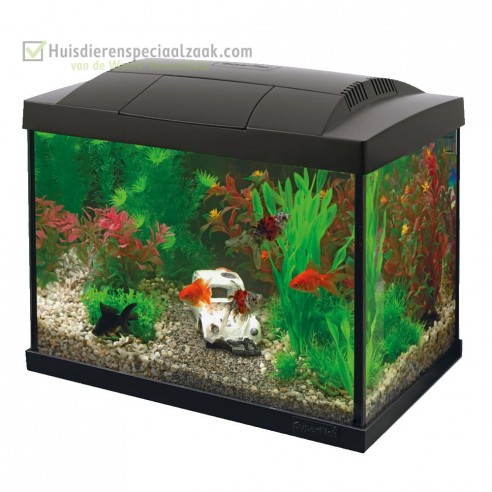 Superfish Start 20 LED zwart