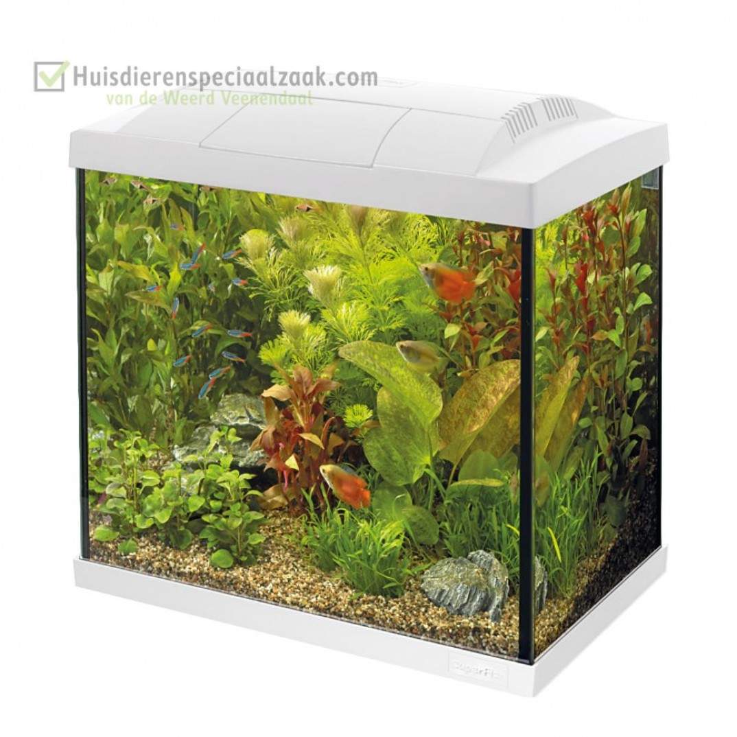 Superfish starters aquarium inhoud van 30 liter met LED verlichting kleur is wit
