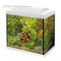Superfish starters aquarium inhoud van 30 liter met LED verlichting kleur is wit
