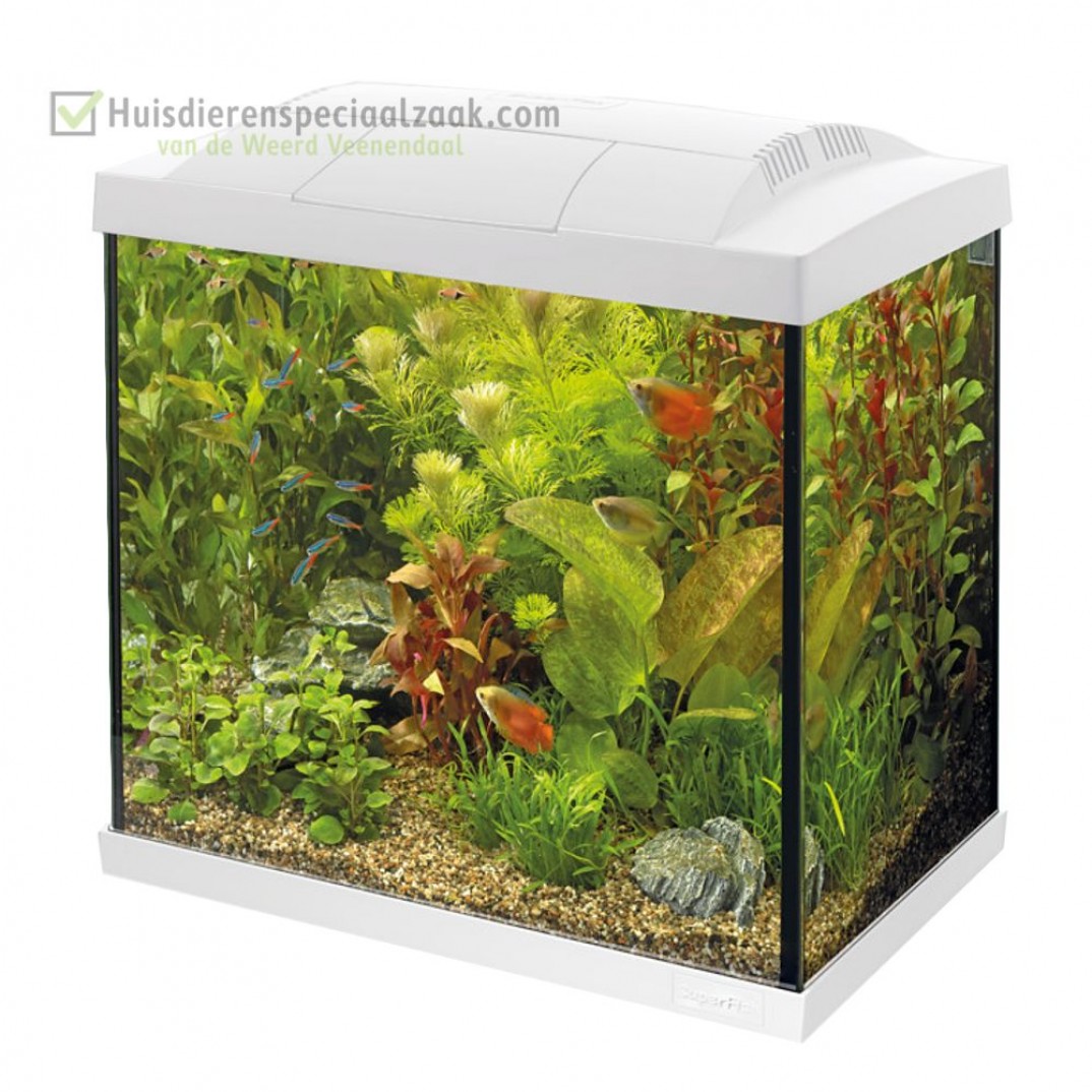 Superfish starters aquarium inhoud van 30 liter met LED verlichting kleur is wit