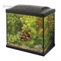 Superfish starters aquarium inhoud van 30 liter met LED verlichting kleur is zwart